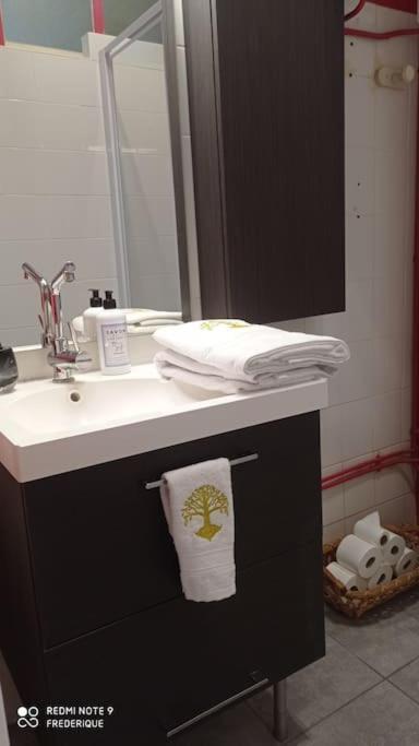 Châtel-Guyon Studio 18 Residence Du Parc מראה חיצוני תמונה